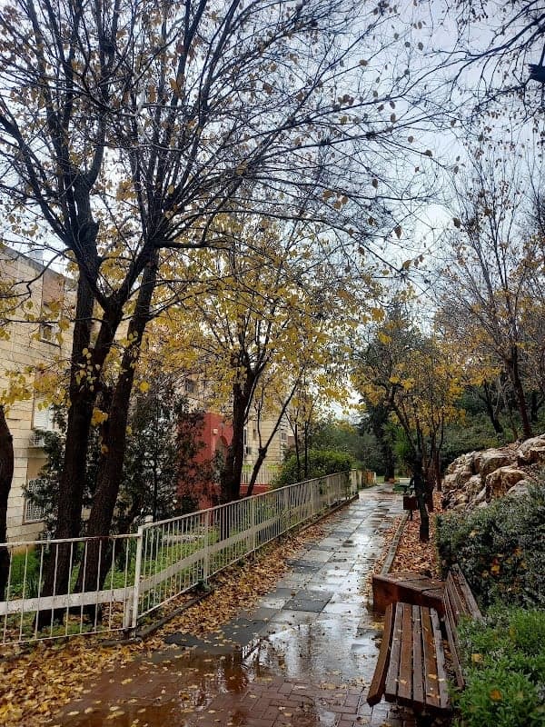 תמונה של אריאל