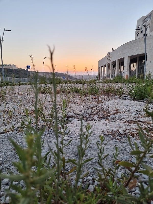 תמונה של בית שמש