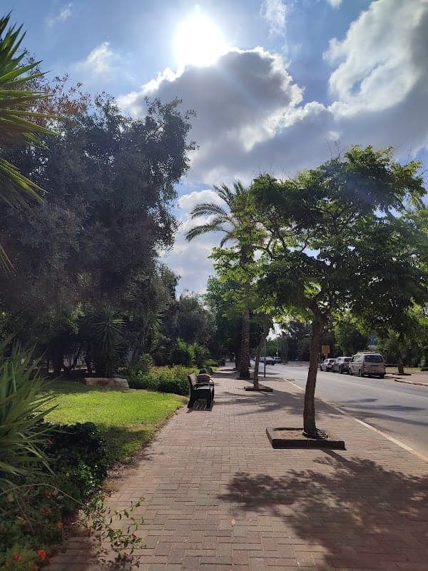 תמונה של קדימה