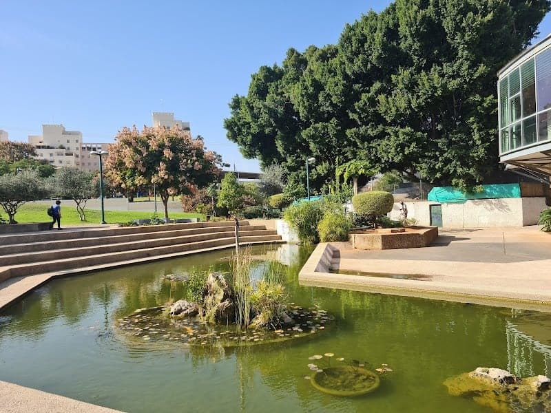 תמונה של כפר סבא