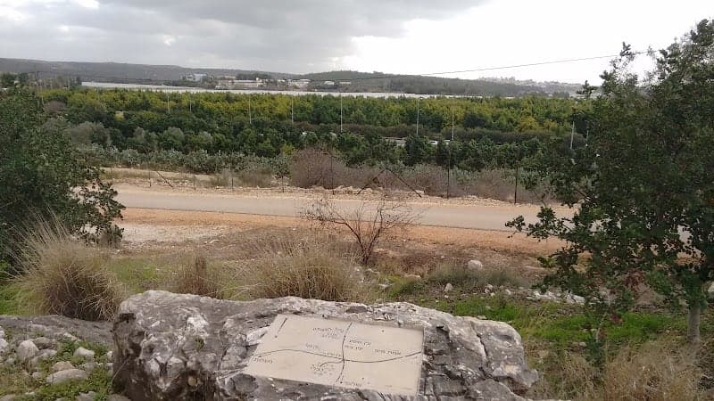 תמונה של אולמות קיבוץ כברי - אזור אירועים תרבות ובידור