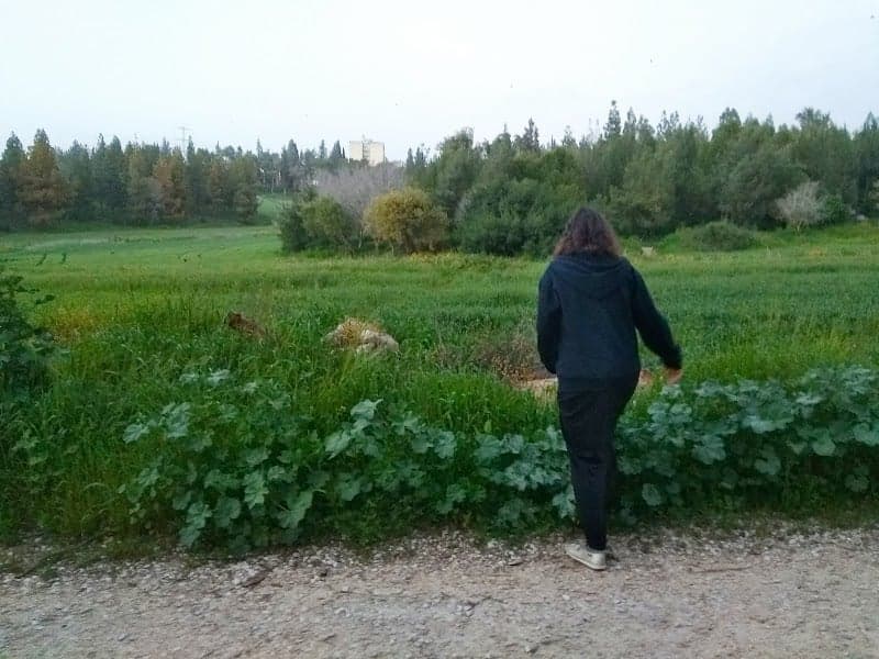 תמונה של אולמות קיבוץ יפעת - אזור אירועים תרבות ובידור