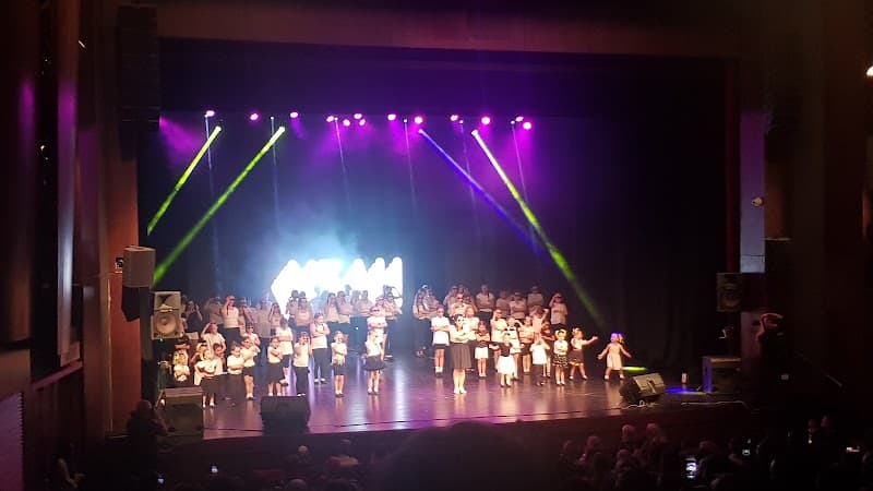 היכל התרבות אריאל