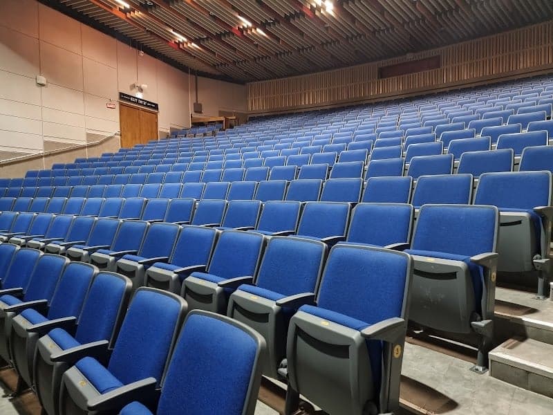 היכל התרבות Friends דימונה