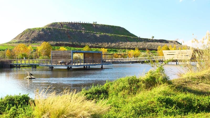 הדוב הירוק - פארק אקולוגי הוד השרון