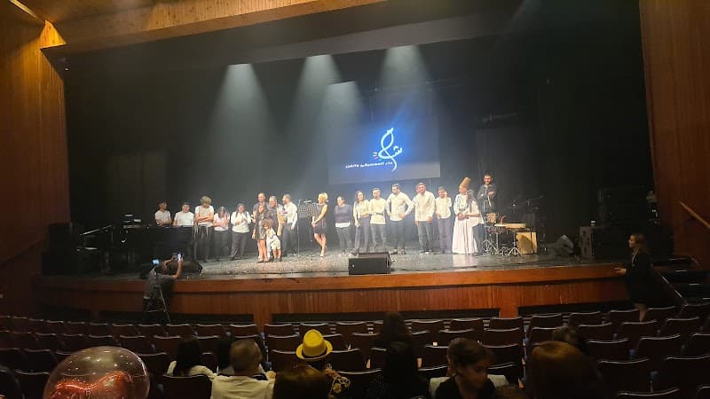 היכל התרבות ע'ש נרקן כרמיאל